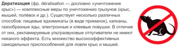 Дератизация: что это и когда требуется проведение дератизации