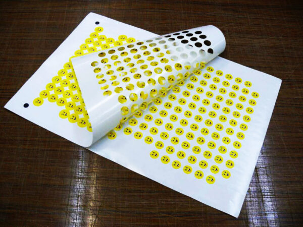 1729066803_plotternayarezka7